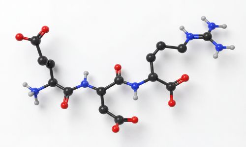3D Peptide Molecular Model 1 (1)11