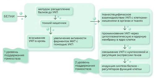 Минималистичная инфографика11