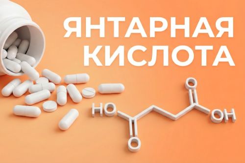 Обложка статьи про янтарную кислоту11